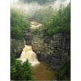 thumbnail image 2 of Linville Falls, Linville Gorge, Pisgah National Forest, North Carolina, USA, Botanical Scenic Stretched Canvas Wall Art by Adam Jones Sold by Art.Com, 2 of 5