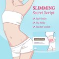 thumbnail image 2 of 5 Pcs Slimming Stickers Fat Burning Fast Weight Loss Patches Belly Stickers Body Slimming Pads, 2 of 15
