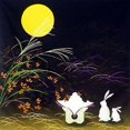 thumbnail image 1 of Paño De Envoltura De Tela Japonesa 100% Algodón 19,75 "Otsukimi Moon Rabbit Furoshiki, 1 of 1