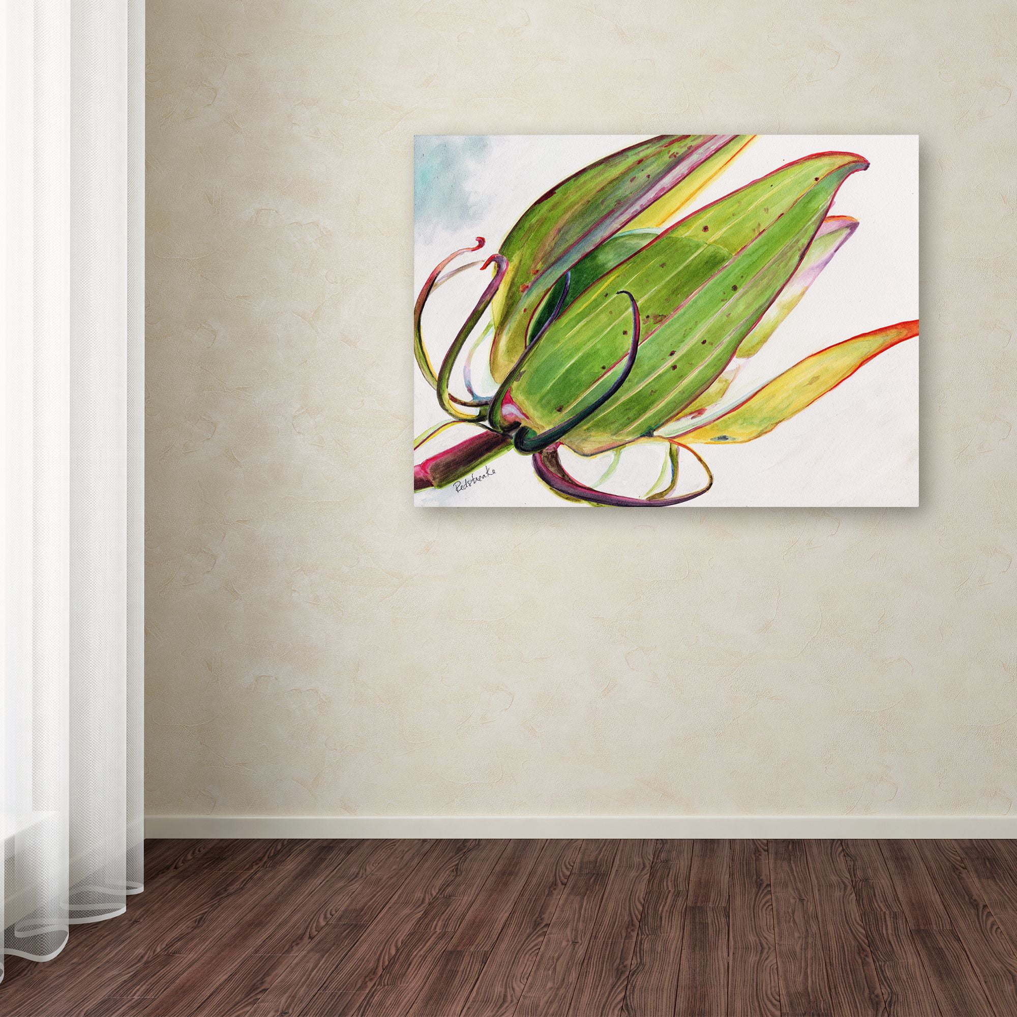 Trademark Fine Art "Flower Pod" Canvas Art by Jennifer Redstreake