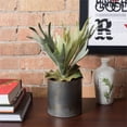 thumbnail image 2 of Vickerman 13" Staghorn Fern Bush with Frosted Green Foliage, 2 of 3