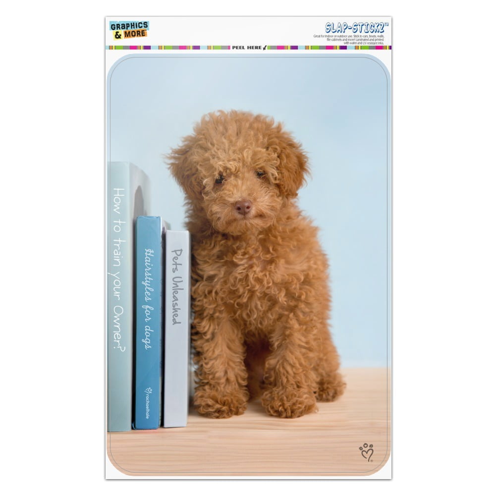 Poodle Puppy Dog Book Shelf Garden Yard Flag 