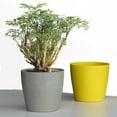 thumbnail image 5 of Frogued Nordic Style Flowerpot Plant Container Planting Tool Home Garden Decoration (Yellow,13.5*12.5cm), 5 of 13