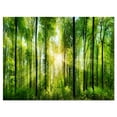 thumbnail image 2 of Design Art - Forêt avec Rayons de Soleil Panorama, 2 of 3