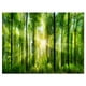 Design Art - Forêt avec des Rayons de Soleil Panorama – image 2 sur 3