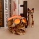 thumbnail image 2 of Lámpara de noche con forma de calavera de sal de resina sin electrodos, lámpara de mesa LED con forma de cabeza de fantasma de terror, luz nocturna LED Promise con forma de calavera de sal de resina r, 2 of 5