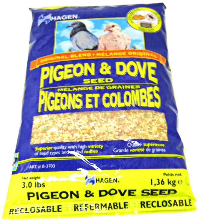 pigeon supply store