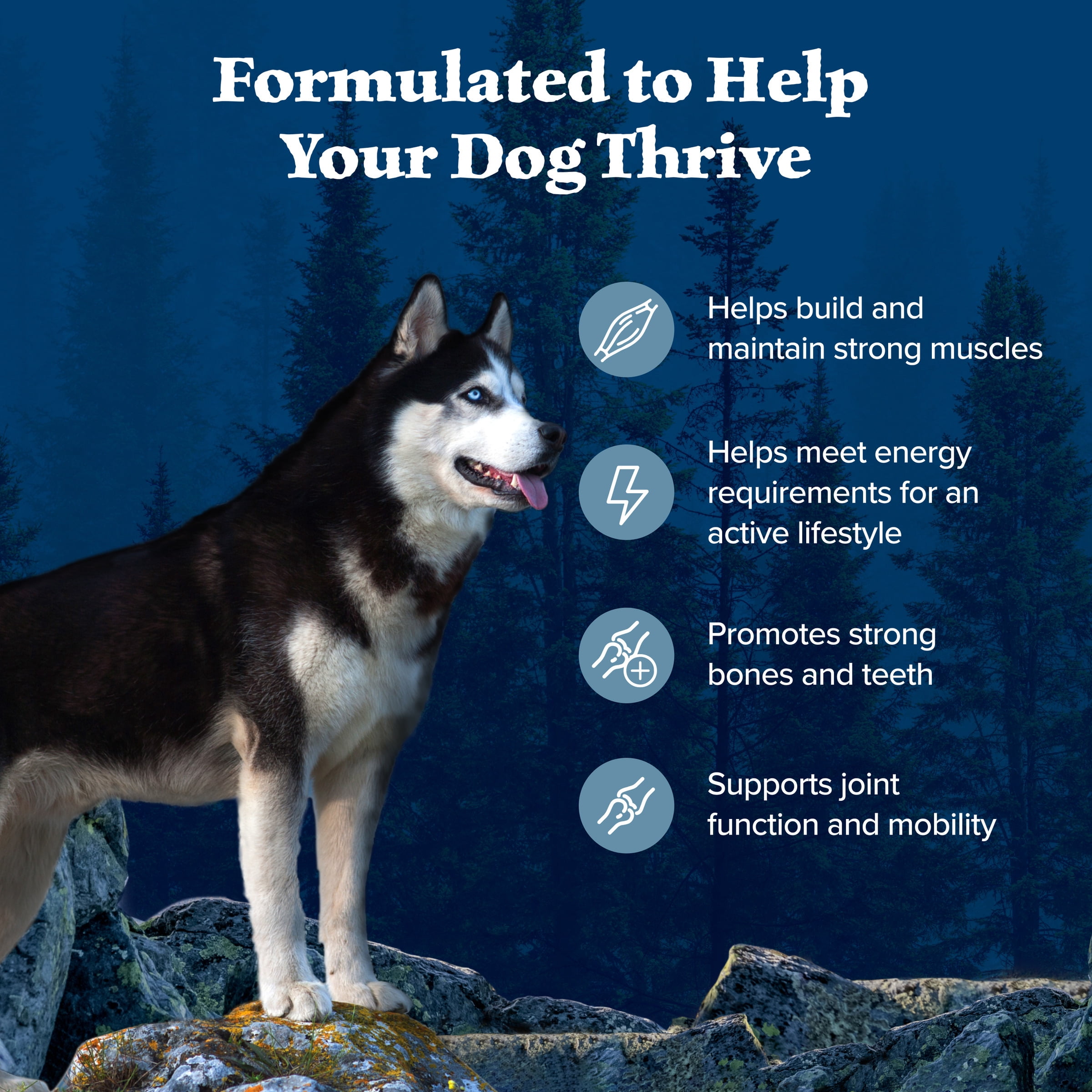 Blue Buffalo Wilderness Natural High-Protein Adult Dog Dry Food, Chicken Recipe, 28-lb.