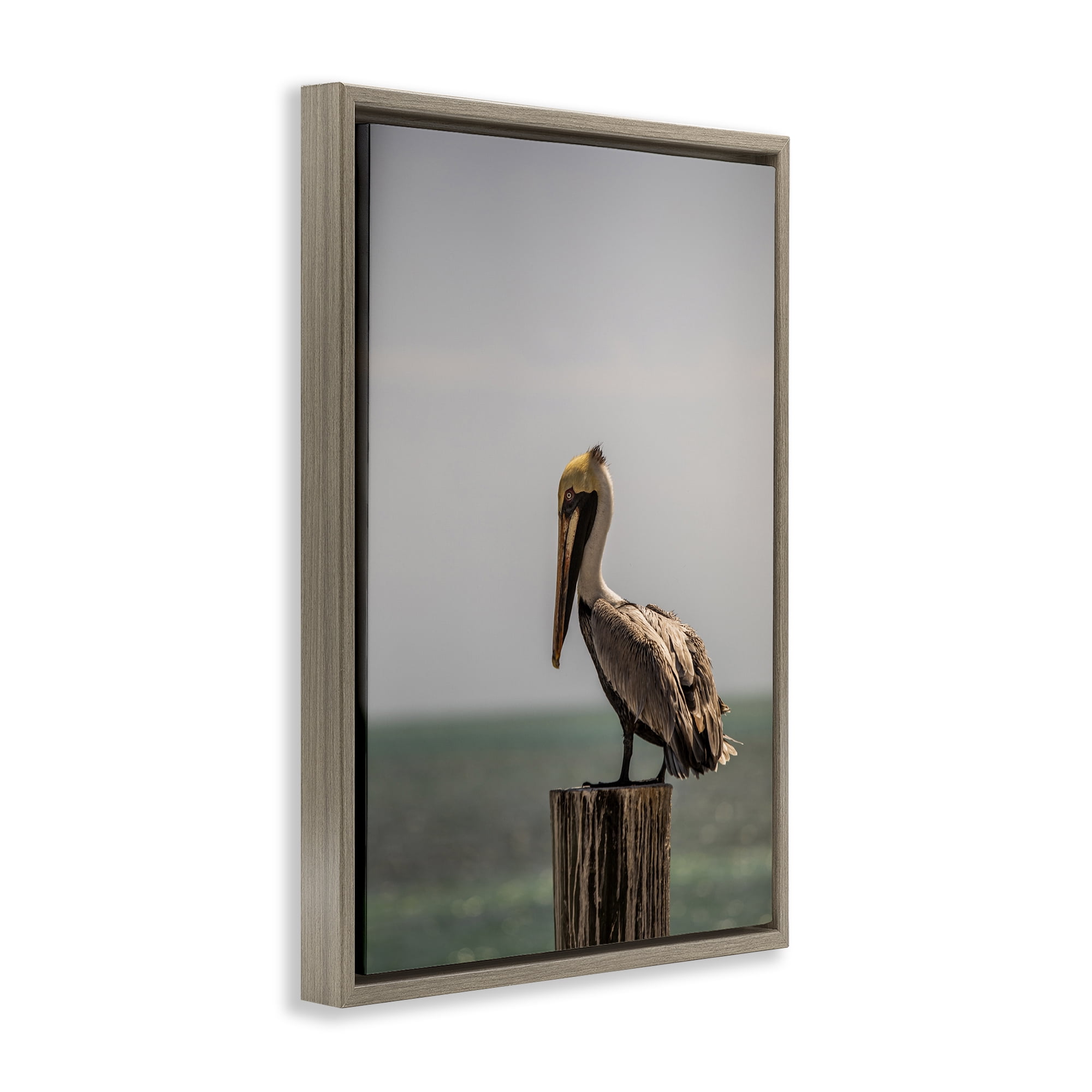 Stupell Industries Nautical Landscape Pelican Animals Photography Brown Floater Framed Canvas Art Print Wall Art, 17 x 25