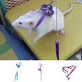 thumbnail image 1 of vonky Pet Bird Vest Leash Outdoor Flying Anti-bite Adjustable Bird Training Rope Nylon Adjustable Bird Training Walking Leash Rope, 1 of 9