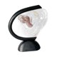 thumbnail image 5 of Modelo de útero Femenino, Modelo Reproductivo Uterino, Herramienta de Demostración para El Aula de Biología Femenina Science Clear, Herramienta Didáct, 5 of 8