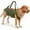Army green, variant on Dog Full Body Lift Harness, Support Sling Backpack for Senior Disabled Dogs, Front Hind Leg Joint Injuries, Help Up & Down Stairs Walk Hiking Grooming Harness, Reflective, Soft Padded Handle