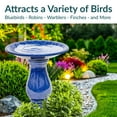 thumbnail image 4 of Sunnydaze Daisy Embossed Bowl Freestanding Ceramic Pedestal Outdoor Bird Bath, 4 of 16