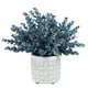 thumbnail image 1 of Planta de eucalipto artificial MyGift con modernas macetas de hormigón, 1 of 7