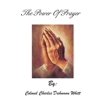 The Prayer of Protection: Living Fearlessly in Dangerous Times main image 1