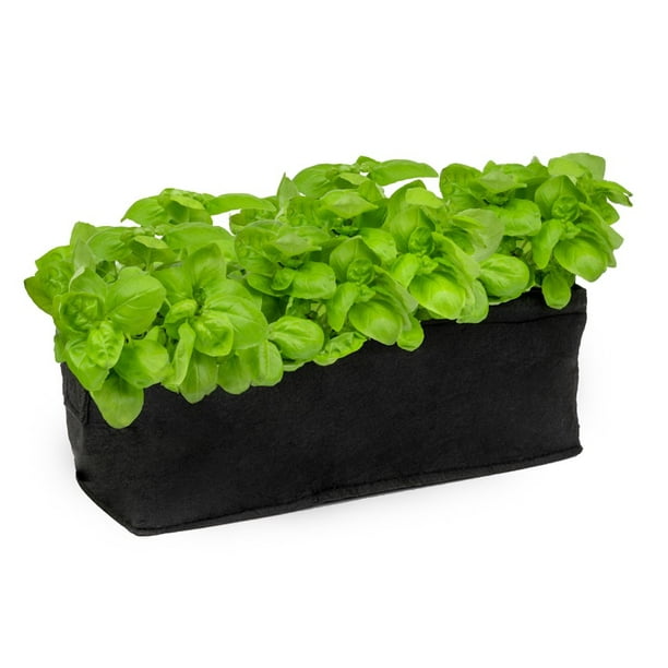 Organic Basil Herb Garden Planter Box Kit With Soil Block