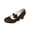 Brown_026, variant on Domuza Women Bow Decor Block Heel Mary Jane Shoes, Round Toe Strap Fashion Dress Pumps Black 5.5(EU-36)
