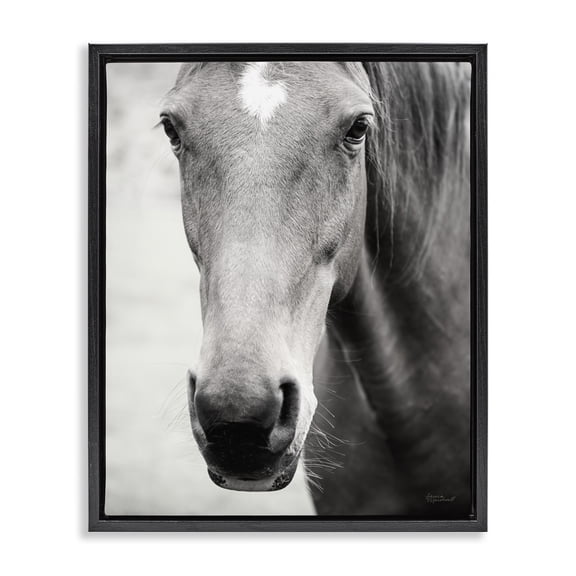Stupell Industries Traditional Moke Lake Horse Photography Black Floating Frame Canvas Art, 17 x 21, by Laura Marshall
