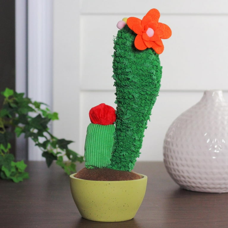 Stuffed cactus cheap plant