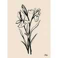 thumbnail image 2 of Popp, Grace 19x24 White Modern Wood Framed Museum Art Print Titled - Iris Sketch I, 2 of 4