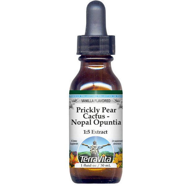 Prickly Pear Cactus Nopal Opuntia Glycerite Liquid Extract (15