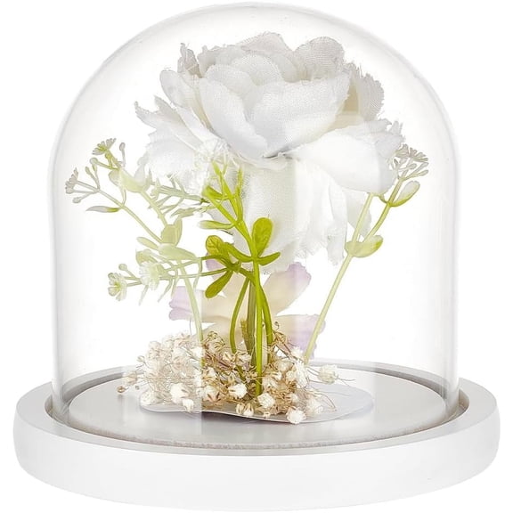5x5 Inch White Lacquered Glass Dome Cloche Wooden Display Dome Clear Glass Cloche Bell Jar for DIY Flower Craft Christmas Decorations diy