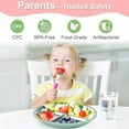 thumbnail image 3 of CLEANCOOLStainless Steel Toddler Plates Silicone Suction,3 Packs Non-Slip Baby Plates,Divided Portion,Food-Grade Silicone Plate for Kids,LEAD-FREE Dishwasher Safe, Green Blue Pink, 3 of 10