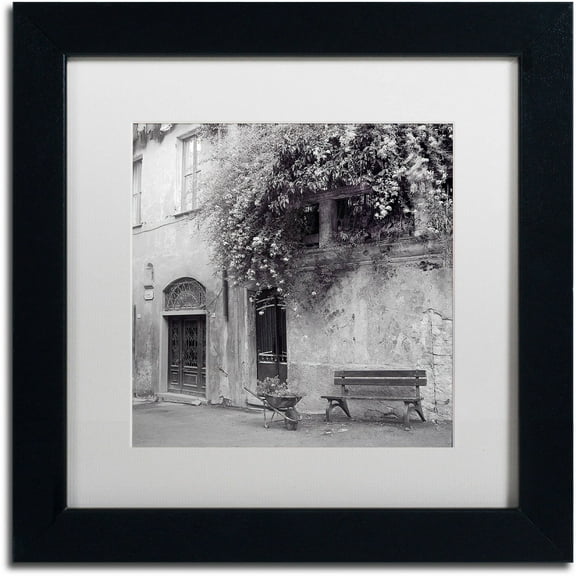 Trademark Fine Art "Liguria I" Canvas Art by Alan Blaustein, White Matte, Black Frame