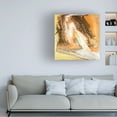 thumbnail image 3 of Studio W 'Liquid Earth II' Canvas Art, 3 of 3