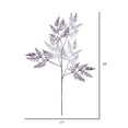 thumbnail image 2 of Vickerman 34" Artificial Silver Metallic Fern Christmas Spray, 2 sprays per pack., 2 of 2