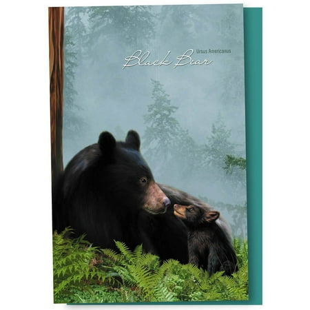 - Tree-Free Greetings Black Bear Family Boxed ECOnotes Blank Note Cards-FS66883