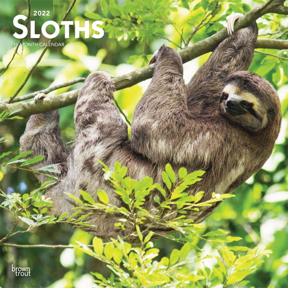 Free Shipping Sloth Mode 2021 Wall Calendar 