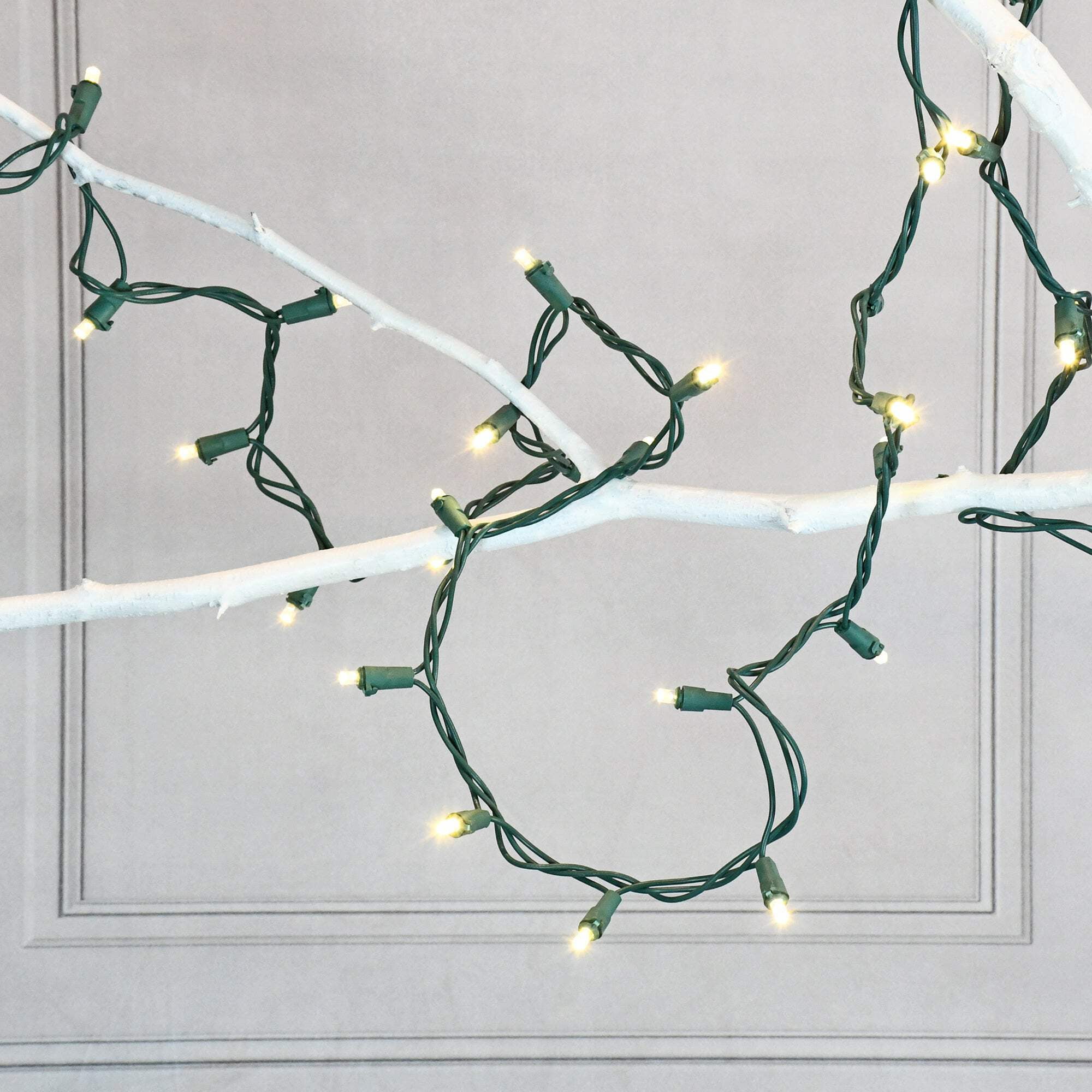 LumaBase LED String Lights - Thumbnail 3