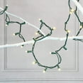 thumbnail image 3 of LumaBase Battery Operated LED String Lights with White Lights (Set of 2), 3 of 11