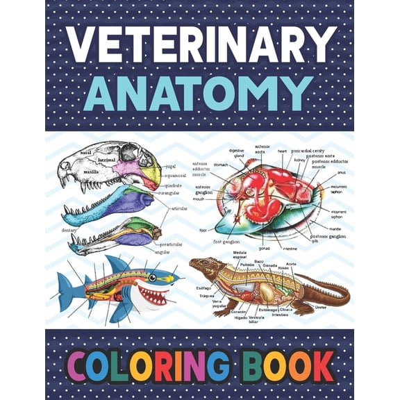 Veterinary Anatomy Coloring Book: Learn The Veterinary Anatomy With Fun & Easy. The New Surprising Magnificent Learning Structure For Veterinary Anatomy Students. Dog Cat Horse Frog Anatomy Coloring b