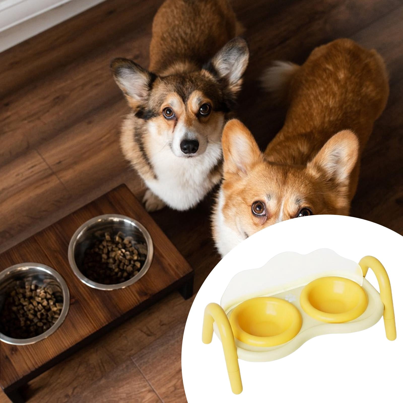 Bothyi Cat Food Water Bowls Elevated Ceramic Double Feeder Anti Vomit Non Slip Dish for