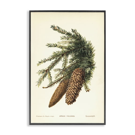 Stupell Industries Victorian Spruce & Fir Cones Black Framed Giclee Art, 12 x 18, by Tina Higgins Designs Inc.