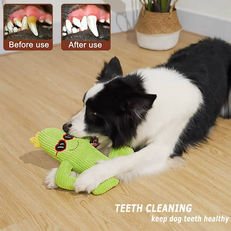 Outdoor toys hot sale for small dogs