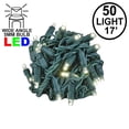 thumbnail image 3 of Novelty Lights Warm White LED Christmas String Lights 50 Mini Bulbs (Green Wire, 17 Feet), 3 of 10