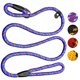 thumbnail image 1 of Correa de perro YONGSHENG ajustable de 5 pies para perros pequeños y medianos azul, 1 of 5