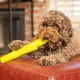 thumbnail image 2 of Juguetes para Perros Grandes Hyper Pet Chewz Verde de Espuma EVA Ligera y Resistente, 2 of 8