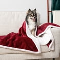 thumbnail image 3 of PetAmi Waterproof Dog Blanket for Small Medium Dog Puppy Cat Throw for Couch Cover Leakproof Protection, Sherpa Fleece, Reversible Soft Washable 29x40 Wine Red, 3 of 9