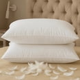 thumbnail image 1 of Juego de 2 plumas de plumón Pillow BHZ Standard/Queen White, 1 of 9