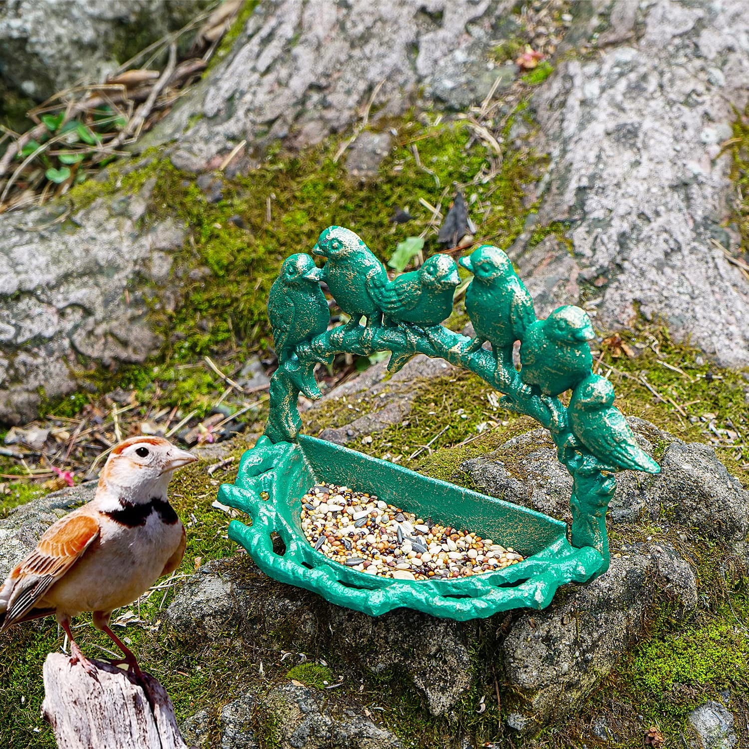 Sungmor Cast Iron Wall Mounted Bird Feeder, Cute Bird Decor Small Water Bath, Wall Hanging Fence Mount Bird Bath Feeder, Beautiful Green Birdfeeder for Garden Backyard Patio Wall Decoration