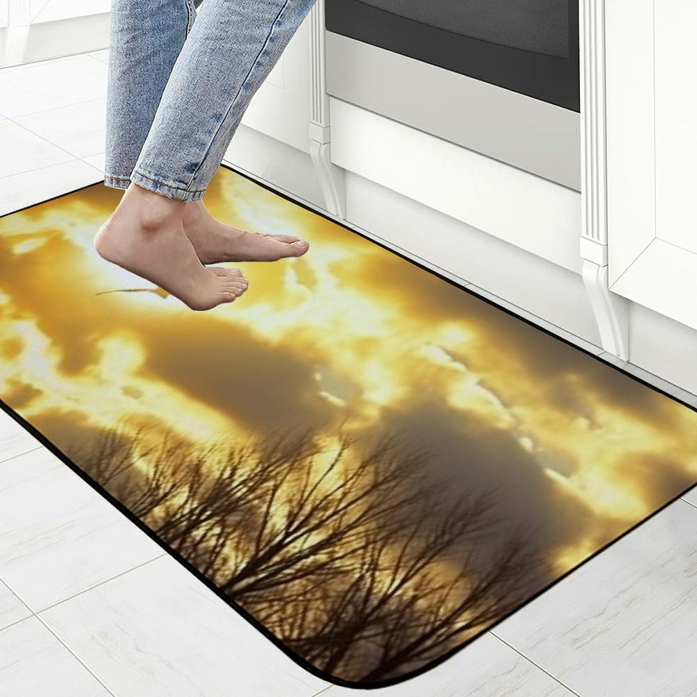 PHYHOO Decorative Door Mat, Door Mat with Non-Slip Rubber Backing, Easy Cleaning, Traps Dirt, Rug for Entry, Patio, Garage - Tree Branches Bare Autumn Fall Sunlight Sunshine 19.68*47.24 in