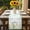 White SeaGreen, variant on Daisies Flowers Table Runner - 72 Inch Long, Kitchen Dining Table Runner Dresser Scarves, Farmhoue Country Bitanical Ombre Green Farmhouse Decor for Coffee Tables Wedding Party Banquet