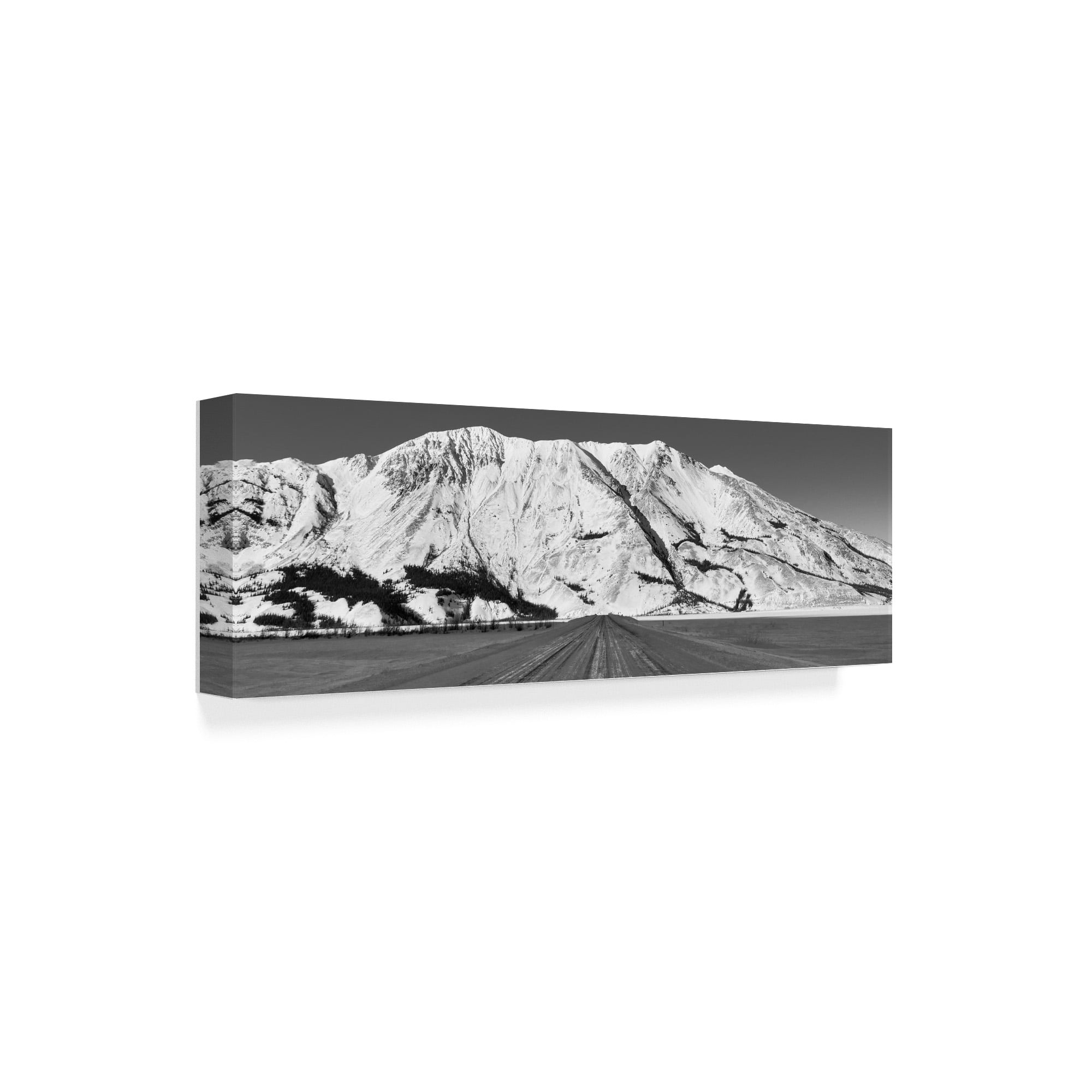 Trademark Fine Art 'Road To Destruction Bay' Canvas Art by Brenda Petrella Photography Llc
