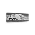 thumbnail image 2 of Trademark Fine Art 'Road To Destruction Bay' Canvas Art by Brenda Petrella Photography Llc, 2 of 3