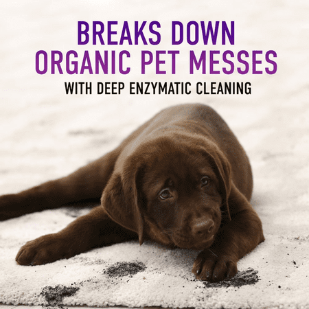 Hoover - Paws and Claws 128oz Carpet Cleaning Formula