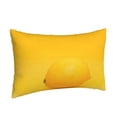 thumbnail image 2 of Bixox Yellow Lemon Printed Pillow Protector,Super Soft Ideal for Home,Guests,Rentals - 14"x20", 2 of 8